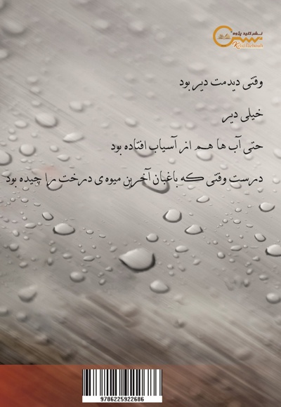 روزی که دیدمت